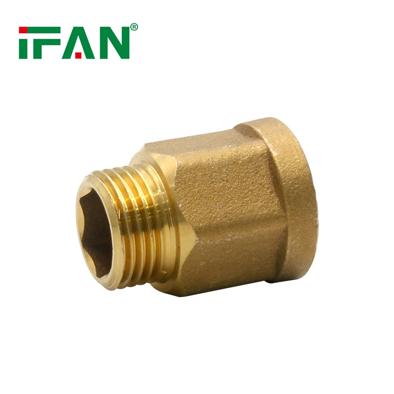 Zęby zewnętrzne rosną bezpośrednio